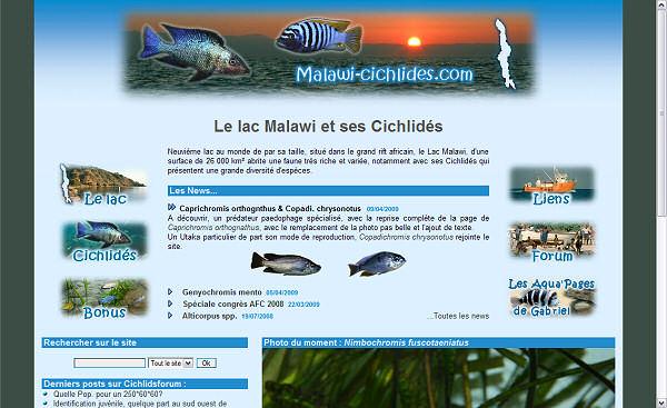 Le lac Malawi et ses cichlidés