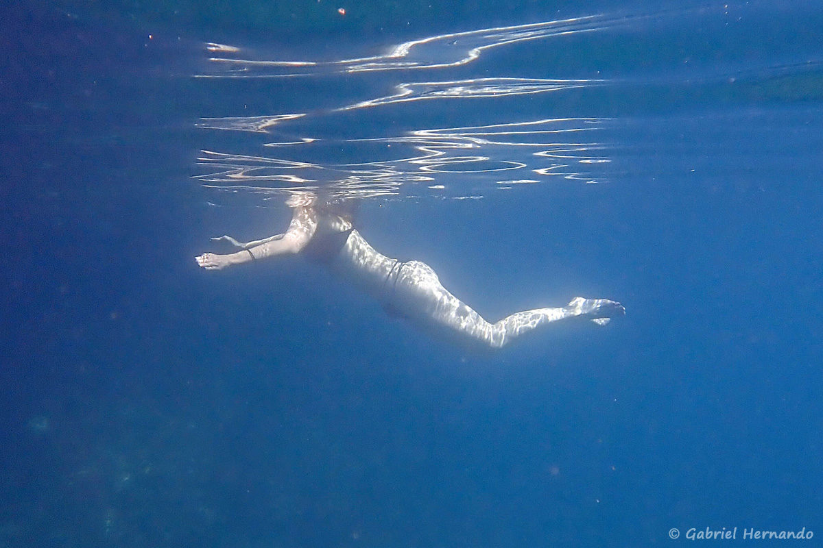 vue sub aquatique d'une silhouette féminine, dans la calanque d'En-Vau, photographiée en juin 2019