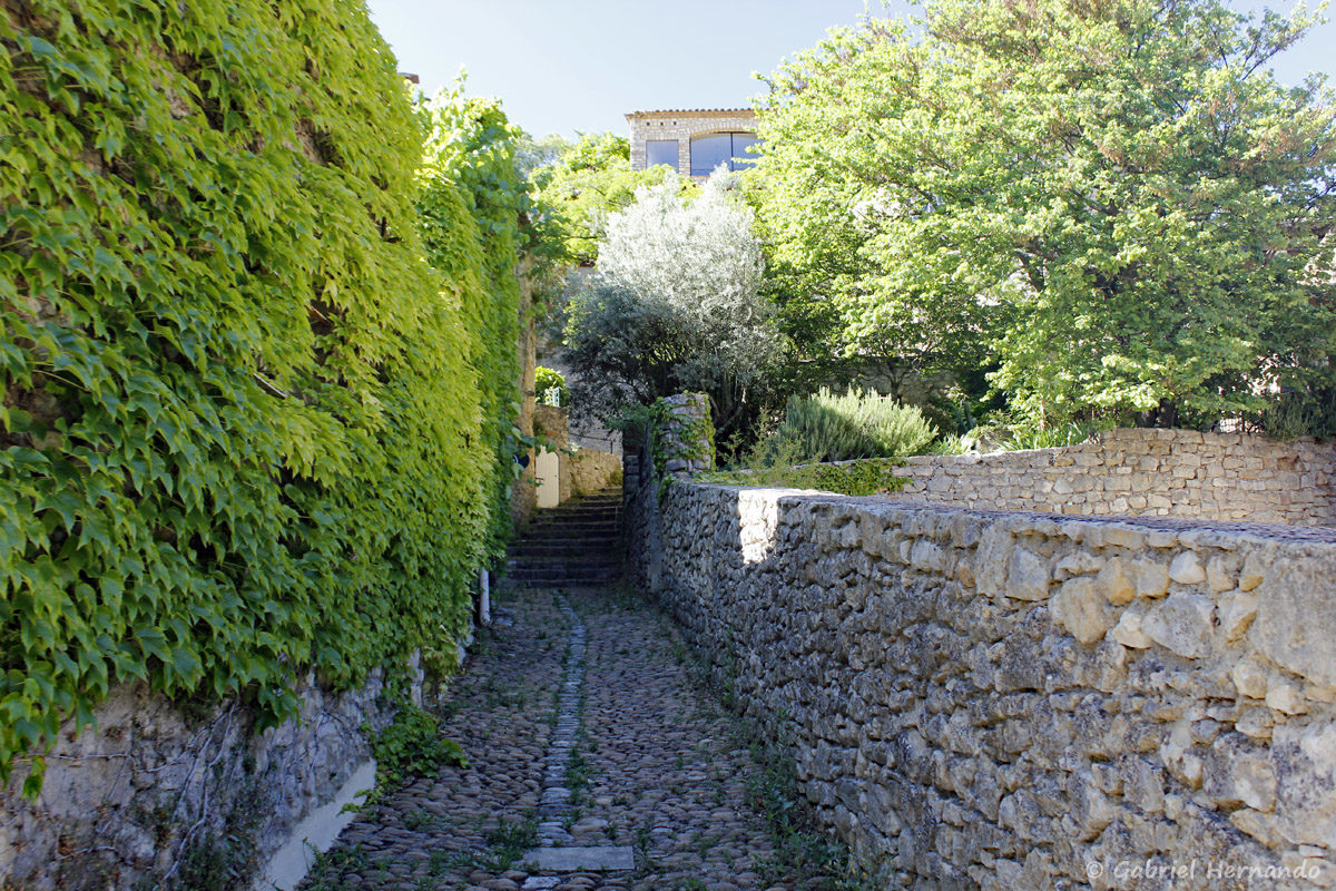 Ruelle de la Roque-Sur-Cèze