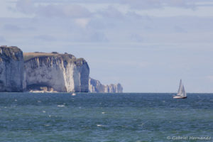 Les falaises vues de la plage de Fécamp (août 2020)