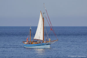 Petit voilier en mer (Fécamp, septembre 2020)