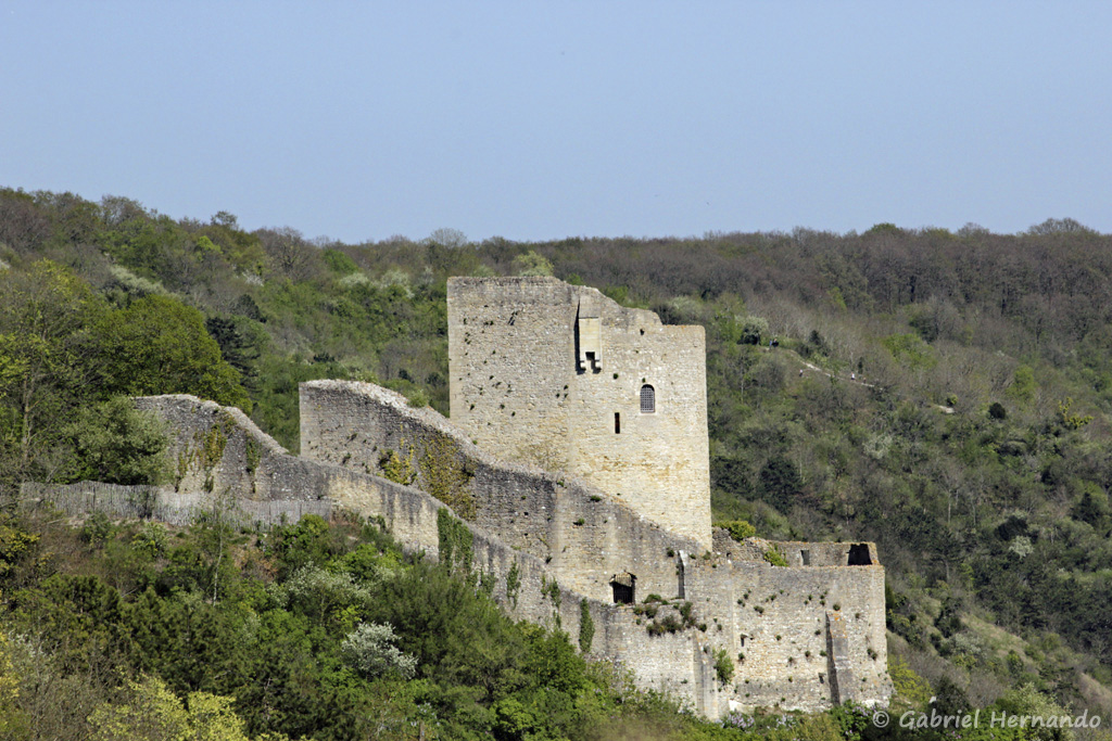 Château médiaval de La Roche-Guyon et son donjon, vu de la route des crêtes (avril 2017)