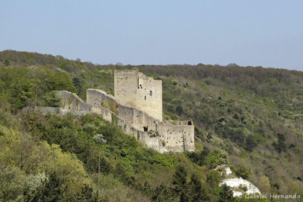 Château médiaval de La Roche-Guyon et son donjon, vu de la route des crêtes (avril 2017)