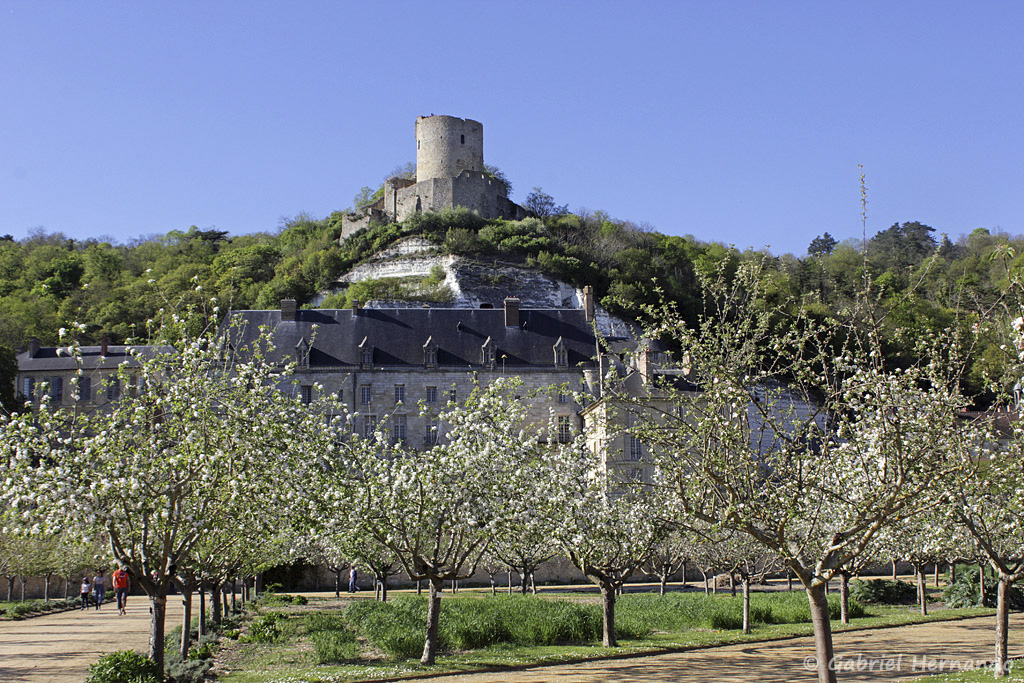 Les deux châteaux de la Roche Guyon, vus des jardins du château (avril 2017)