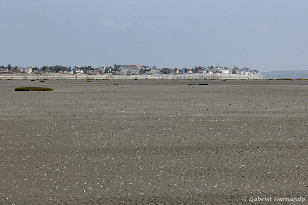Paysage de la baie de Somme, avec vue sur Le Crotoy (août 2018)