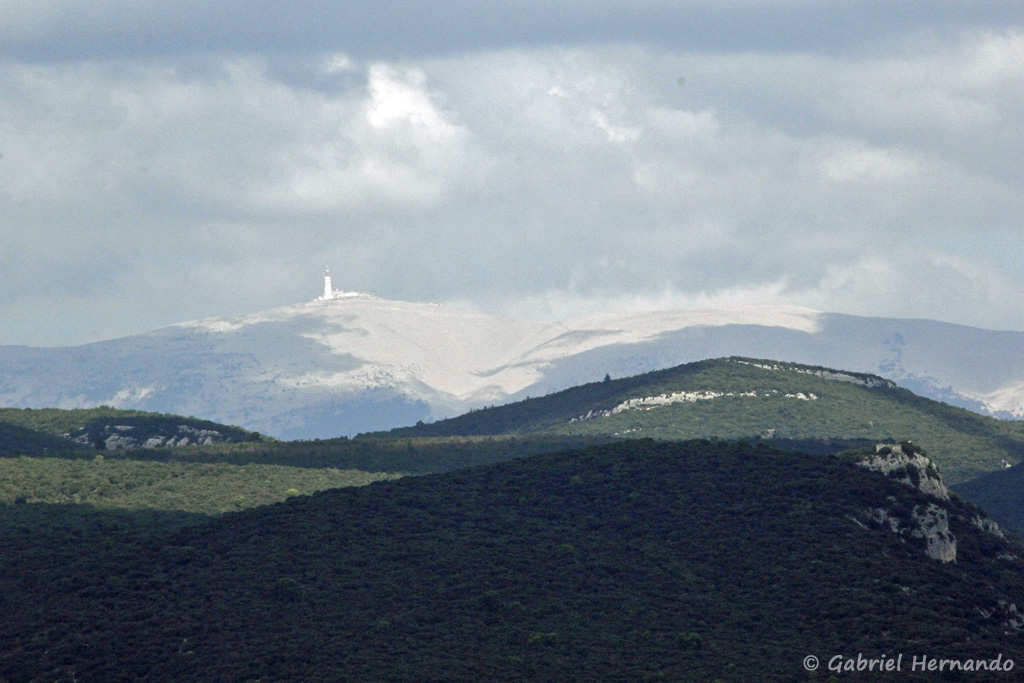 Panorama sur le Mont Ventoux, vu de Roussillon de Provence