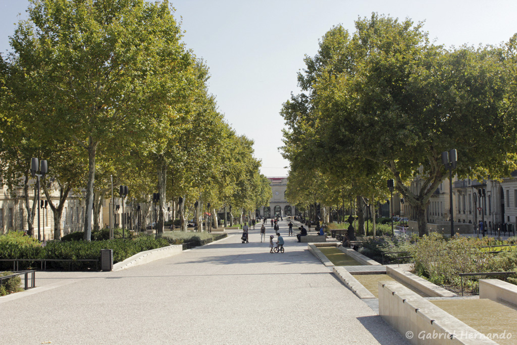 Avenue Feuchère, dans le prolongement de l'esplanade de Nîmes (septembre 2017)
