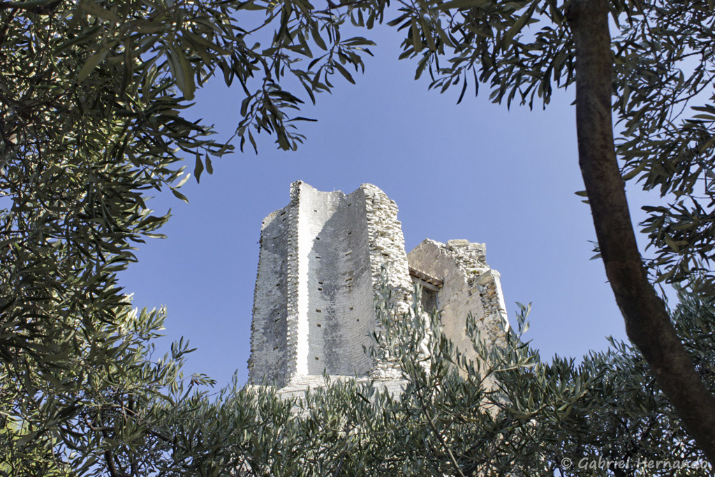 La Tour Magne, tour gallo-romaine, au travers les oliviers (septembre 2017)