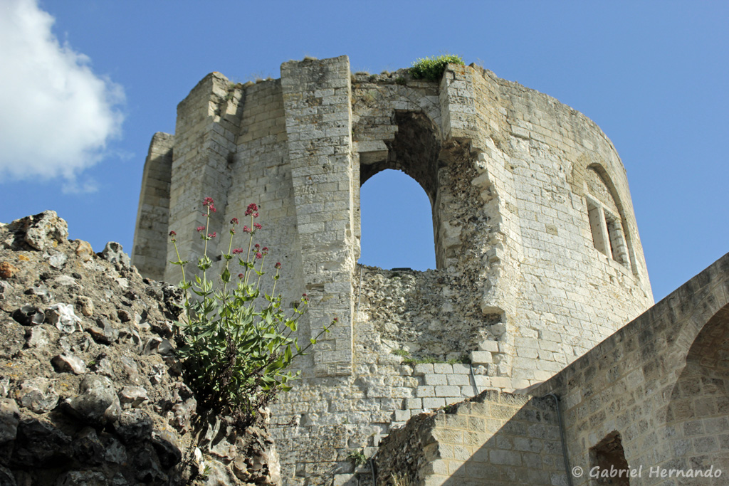 Vestiges du donjon du château Gaillard (Les Andelys, mais 2018)