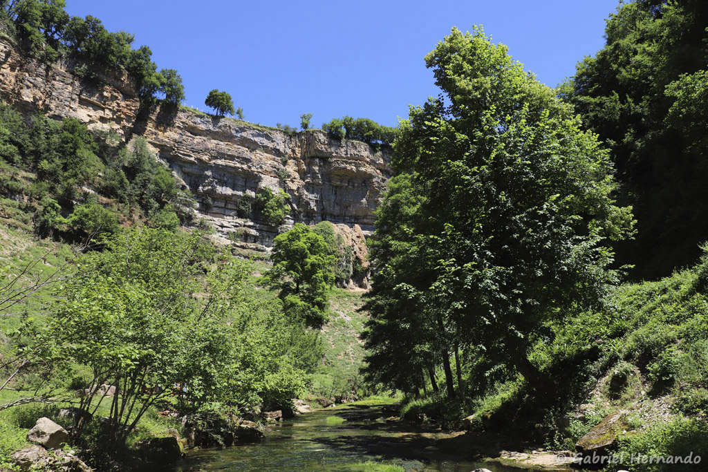 Gorges du Dourdou (Trou de Bozouls, Aveyron, juillet 2021)