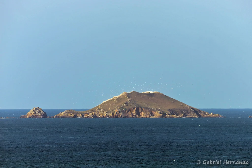 L'île Rouzic, depuis le point de de vue Turquet de Beauregard (Perros-Guirec, septembre 2021)