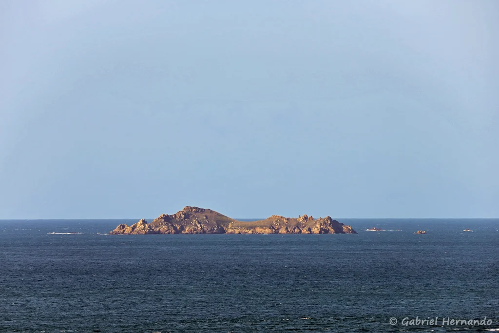 L'île Malban, depuis le point de de vue Turquet de Beauregard (Perros-Guirec, septembre 2021)