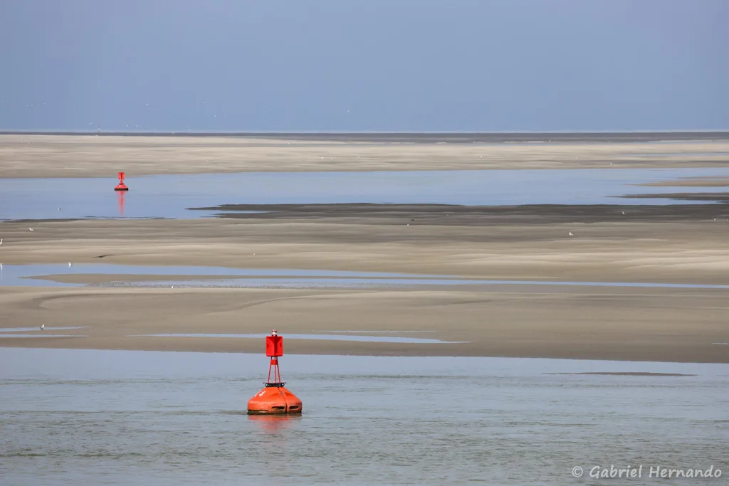 La baie de somme, à marée basse (Le Hourdel, Cayeux-Sur-Mer, août 2021)