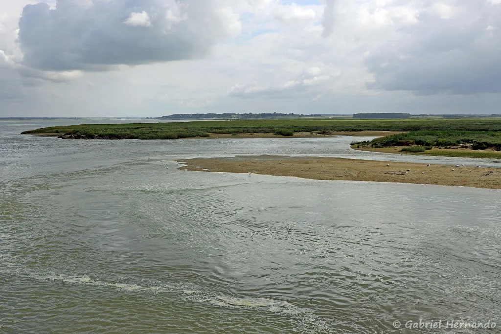 Concession de culture de salicorne en baie de Somme, à marée haute (Le Hourdel, Cayeux-Sur-Mer, août 2021)