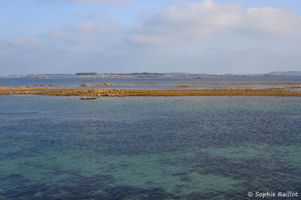 Vue sur l'île de Bréhat, depuis le Sillon de Talbert, à marée basse (septembre 2021)