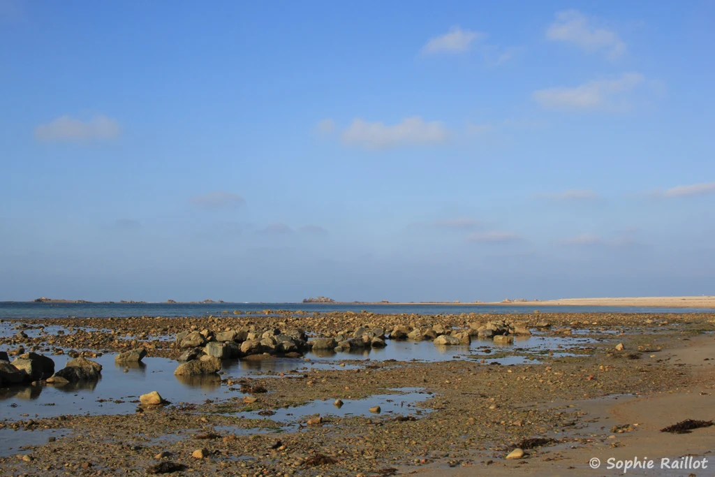 L'estran du sillon de Talbert, avec le sillon sur la droite, à marée basse (septembre 2021)