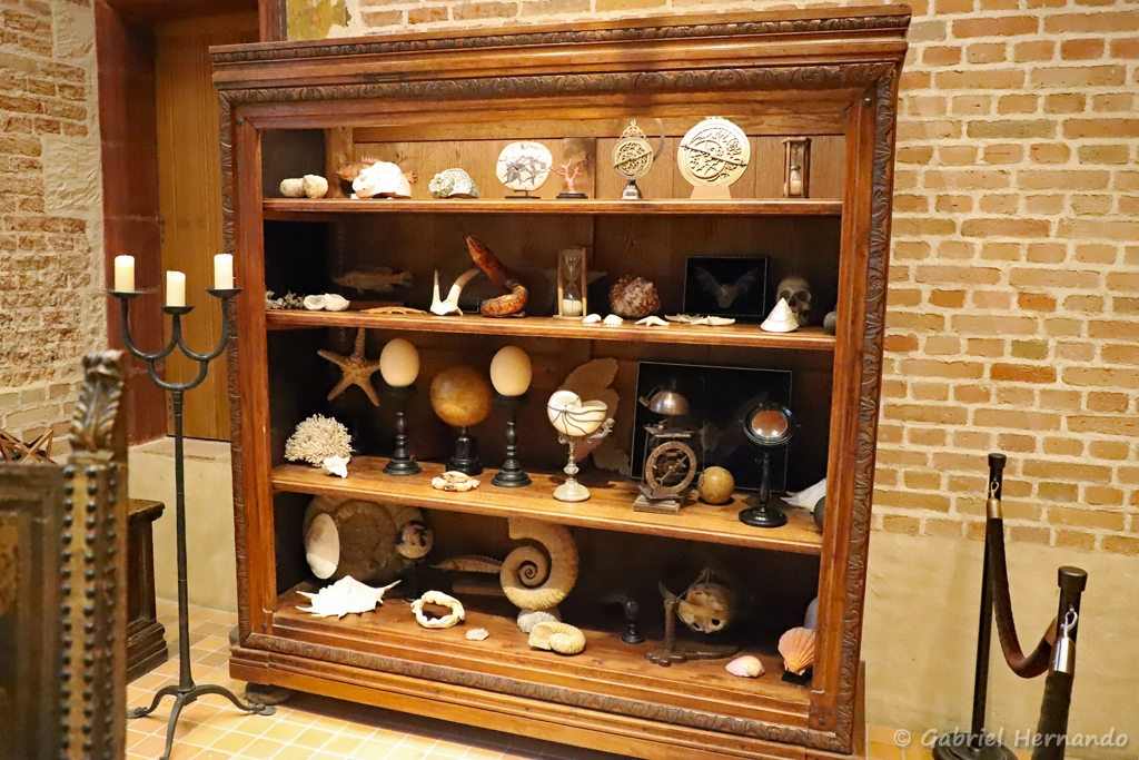 Collection du cabinet de curiosité de Léonard de Vinci (Chateau du Clos Lucé, Amboise, novembre 2021)