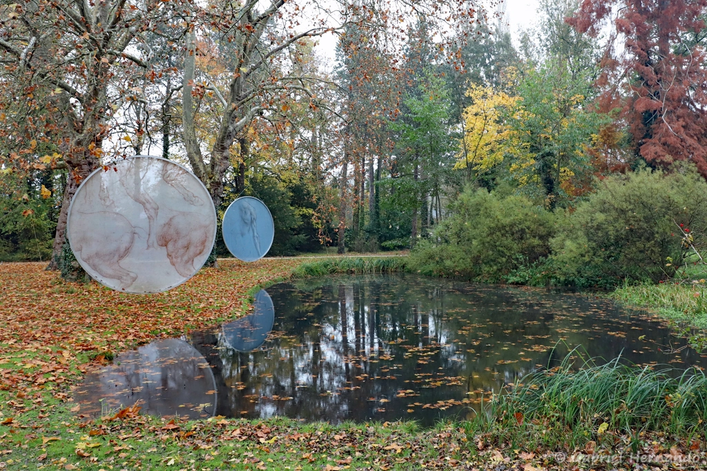 Reflets des analogies du vivant (Parc du Clos Lucé, Amboise, novembre 2021)