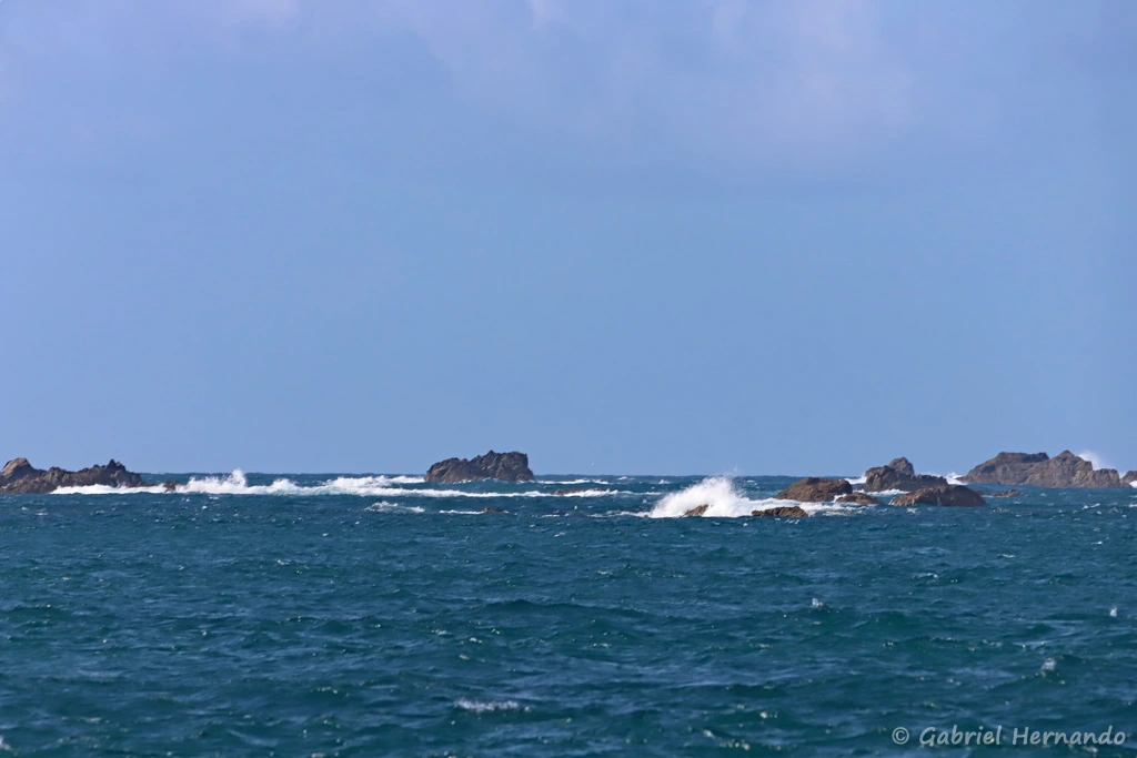 Amas rocheux de l'archipel (archipel des 7 îles, Bretagne, septembre 2021)