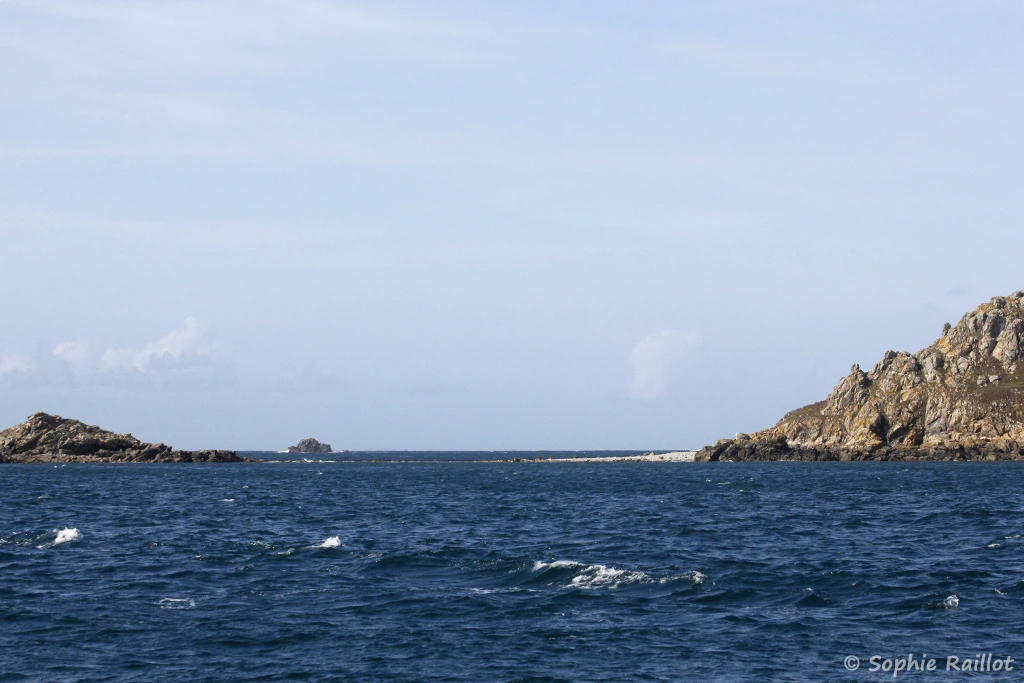 Jonction naturelle entre l'île Bono et l'île Aux Moines (archipel des 7 îles, Bretagne, septembre 2021)