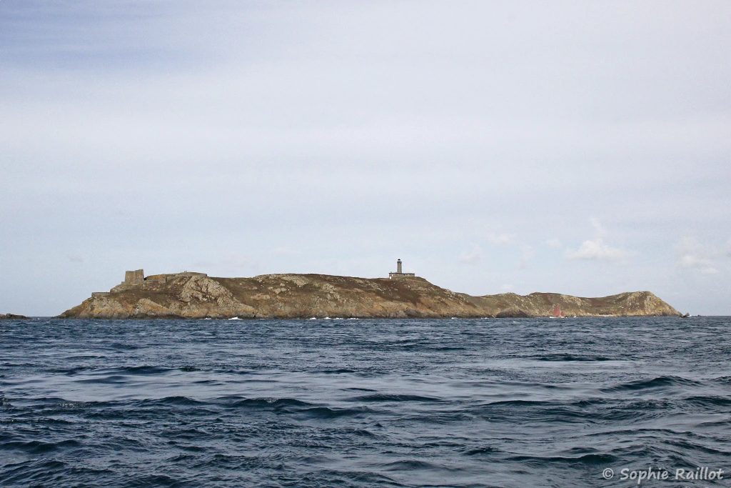 L'île aux Moines et l'île Bono (archipel des 7 îles, Bretagne, septembre 2021)
