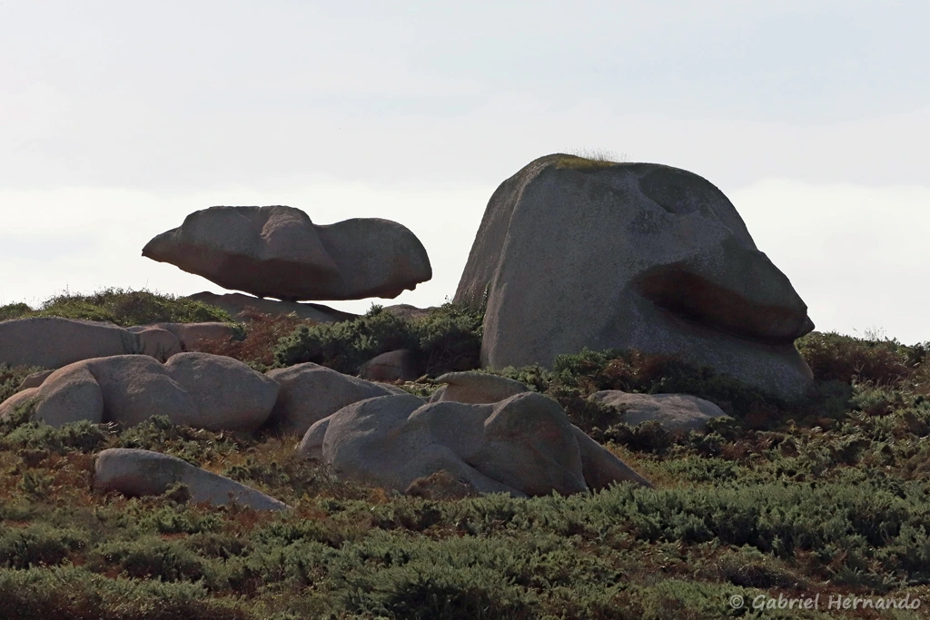 Une roche en équilibre (Côte de Granit rose, Ploumanac'h, septembre 2021)