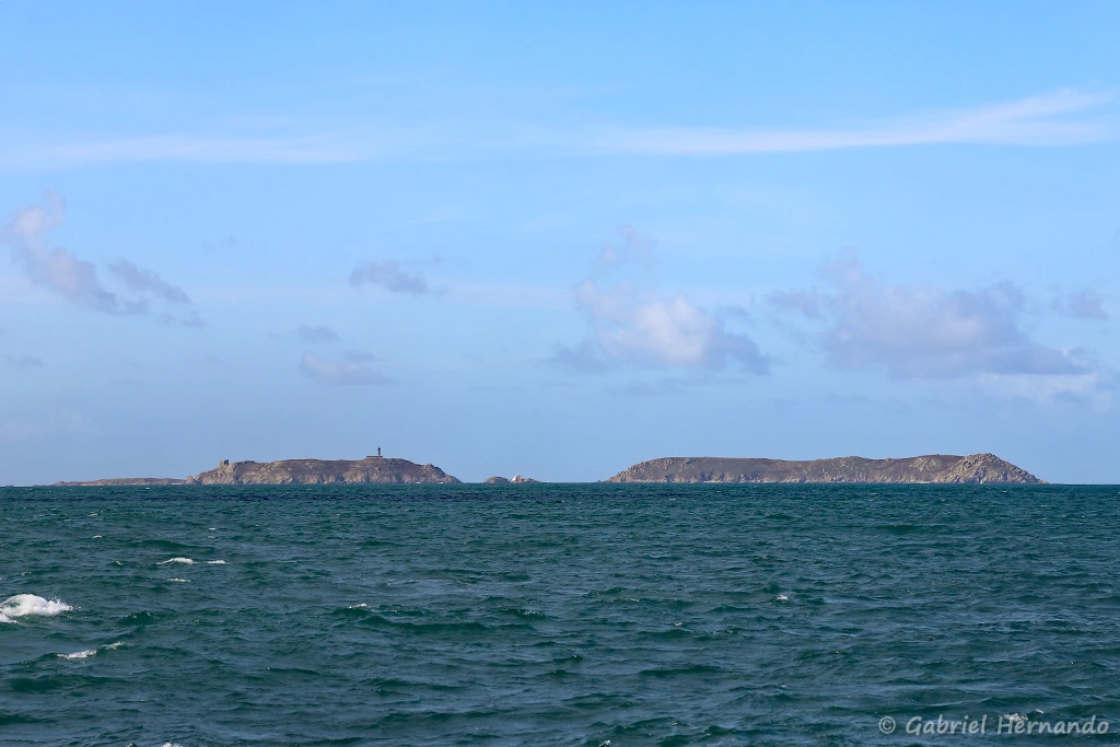 L'île aux moine et l'île Bono (archipel des 7 îles, Bretagne, septembre 2021)