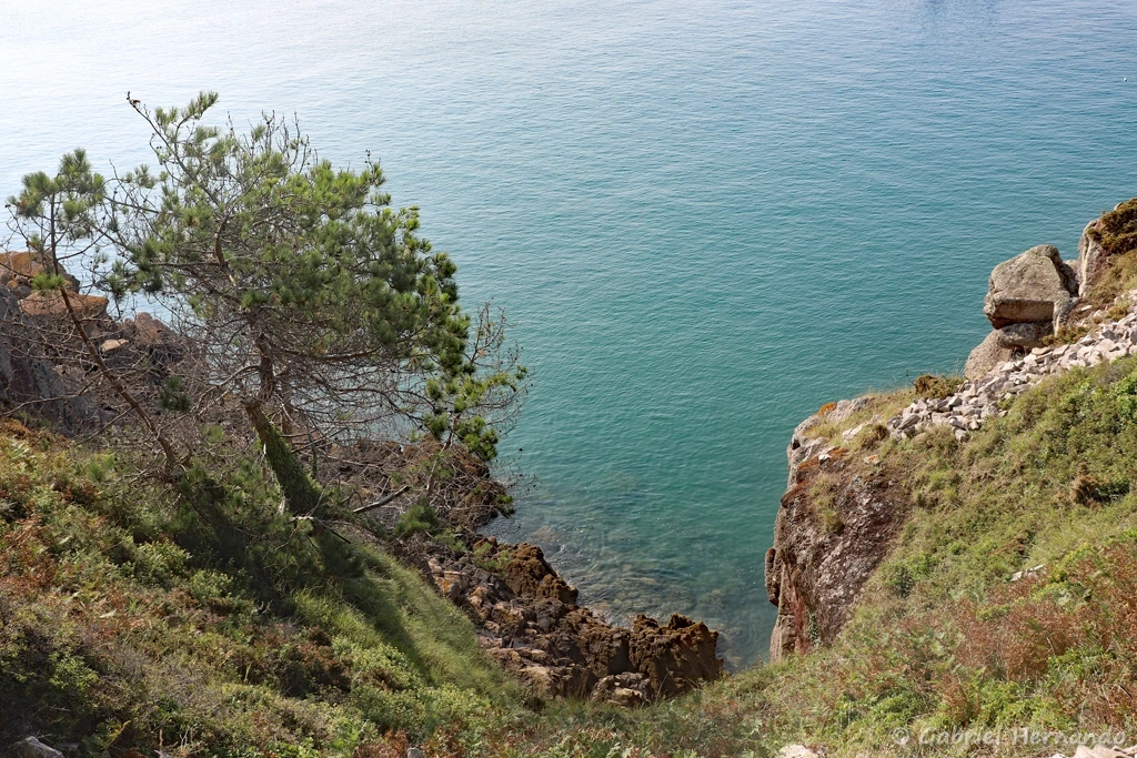 Panorama depuis les falaises du cap (Cap d'Erquy, septembre 2021)