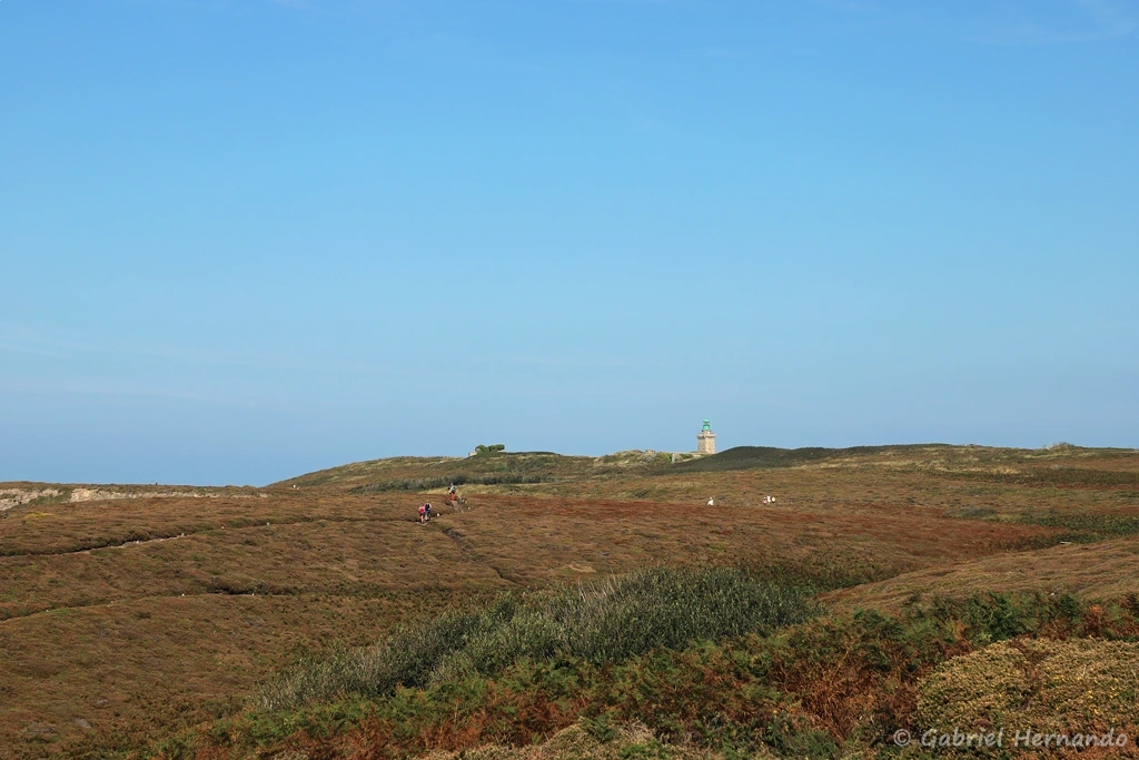 La lande, en direction du phare (Cap Fréhel, septembre 2021)