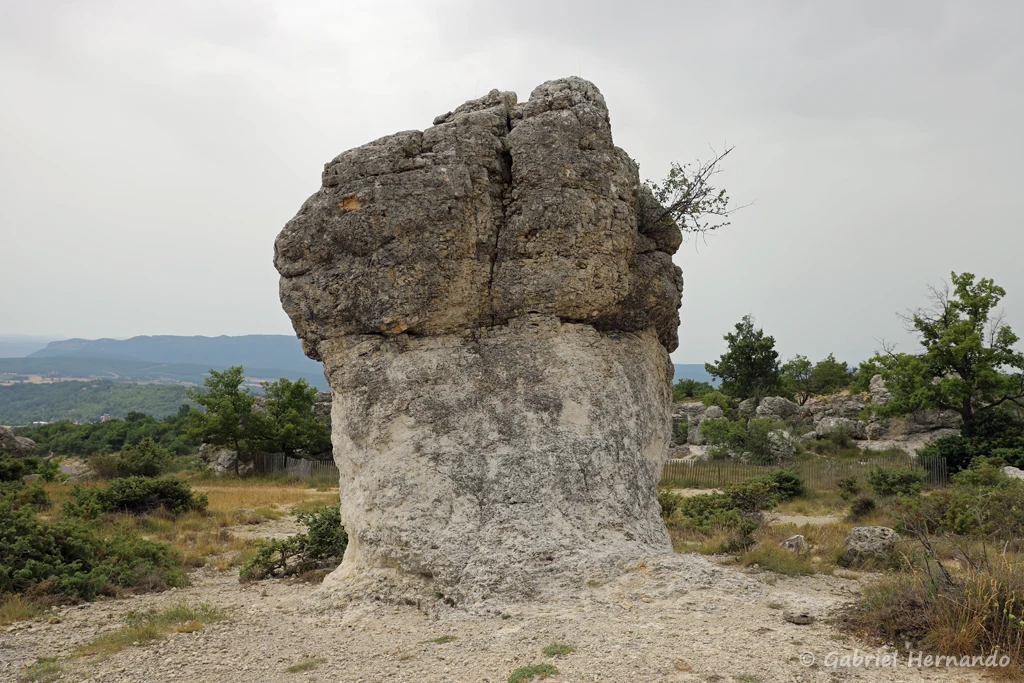 Rocher en forme de molaire (site des Mourres, Forcalquier, juin 2022)