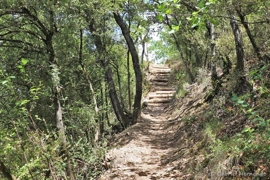 Le sentier qui redescend vers le bas des falaises (Les Mées, juin 2022)