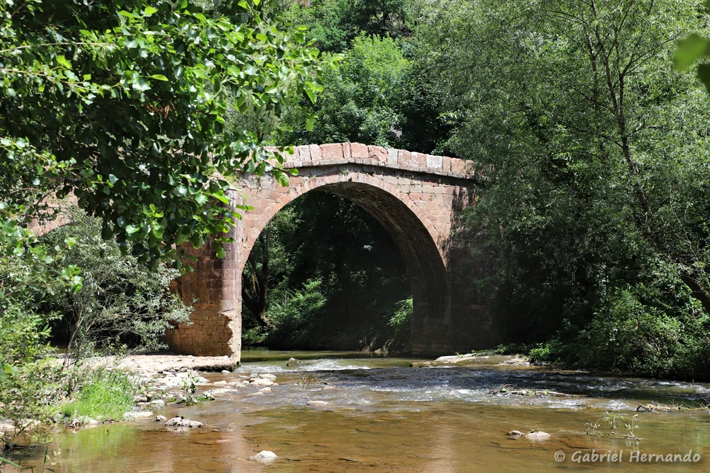 Le pont des pèlerins, dit pont romain, sur le Dourdou (Conques, juin 2022)
