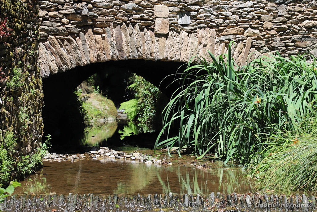 Le "riou nègre", petit ruisseau passant sous l'ancien moulin à huile (Belcastel, juillet 2022)