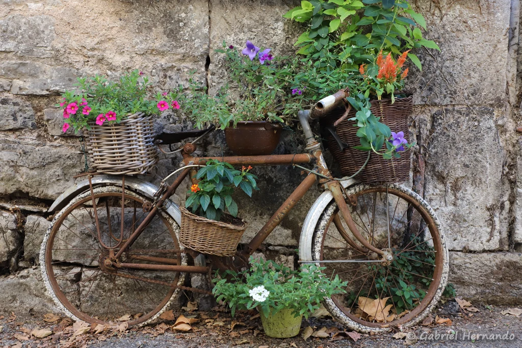Vieille bicyclette fleurie, rue du Faubourg (Cajarc, juillet 2022)