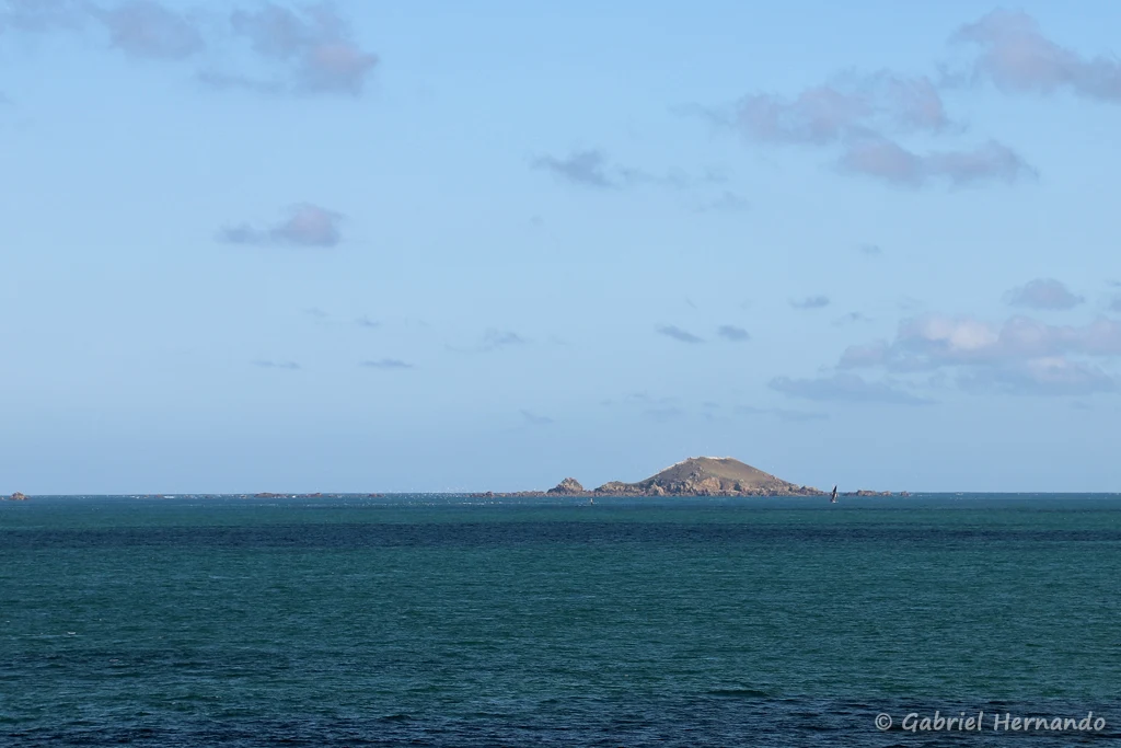 L'île Rouzic, de l'archipel des 7 îles (Côte de Granit rose, Ploumanac'h, septembre 2021)