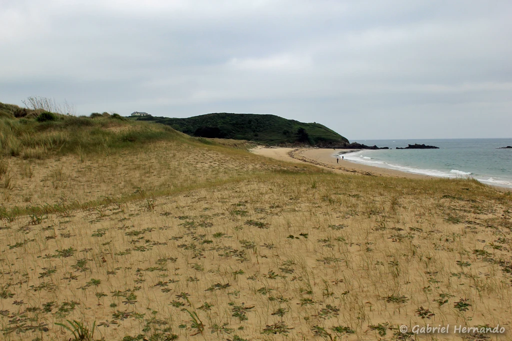 Le cordon dunaire de la plage des Chevrets et l'île Besnard (Saint-Coulomb, mai 2023)