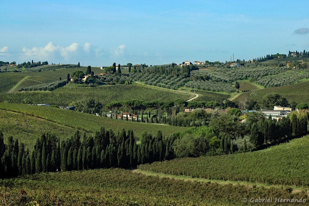 Paysage toscan (Vinci, octobre 2024)