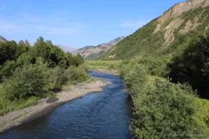 La Durance, en aval du pont de Rochebrune (Rochebrune, juin 2023)